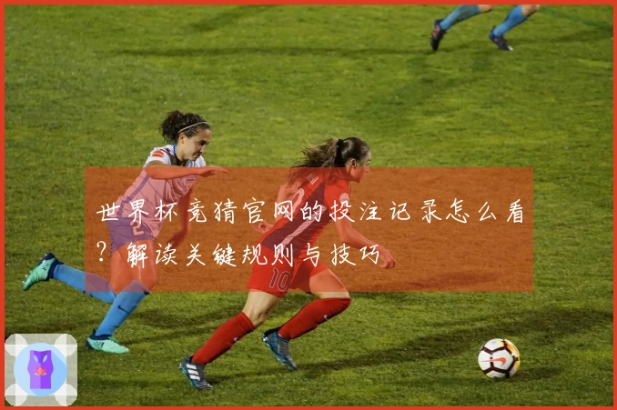 世界杯竞猜官网的投注记录怎么看？解读关键规则与技巧