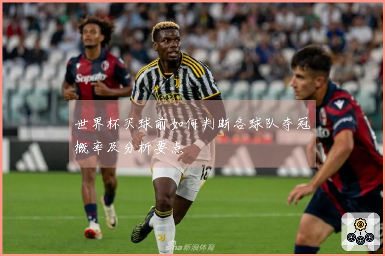 世界杯买球前如何判断各球队夺冠概率及分析要点