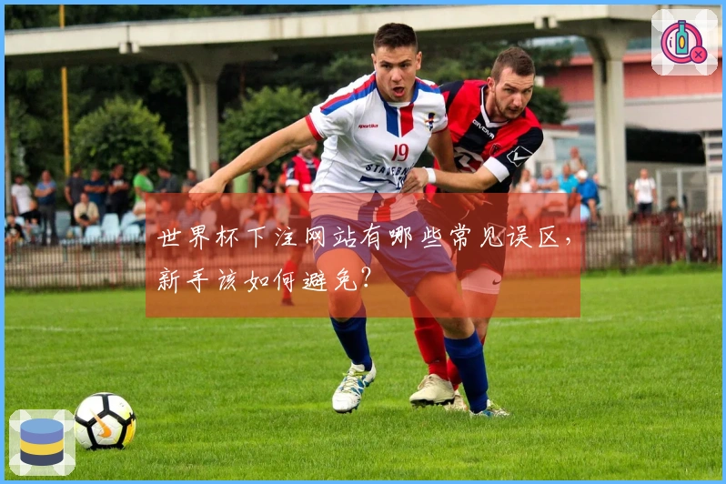 世界杯下注网站有哪些常见误区,新手该如何避免?