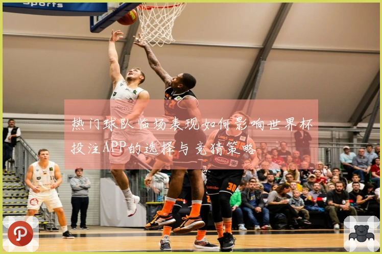 热门球队临场表现如何影响世界杯投注APP的选择与竞猜策略