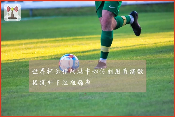 世界杯竞猜网站中如何利用直播数据提升下注准确率