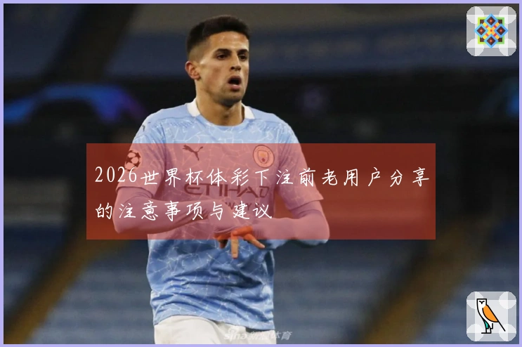 2026世界杯体彩下注前老用户分享的注意事项与建议