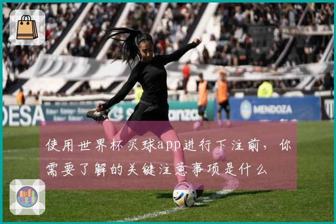 使用世界杯买球app进行下注前，你需要了解的关键注意事项是什么