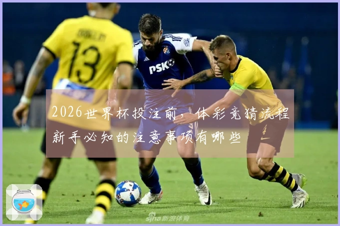 2026世界杯投注前，体彩竞猜流程新手必知的注意事项有哪些