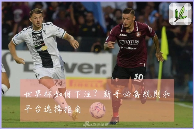 世界杯如何下注？新手必备规则和平台选择指南
