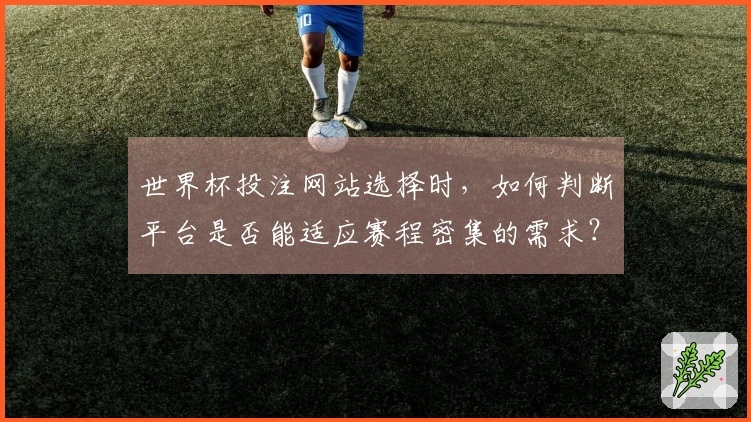 世界杯投注网站选择时，如何判断平台是否能适应赛程密集的需求？