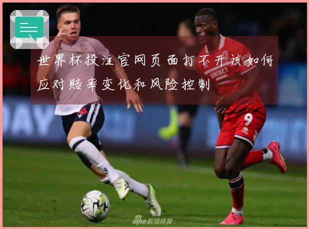 世界杯投注官网页面打不开该如何应对赔率变化和风险控制
