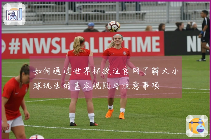 如何通过世界杯投注官网了解大小球玩法的基本规则与注意事项