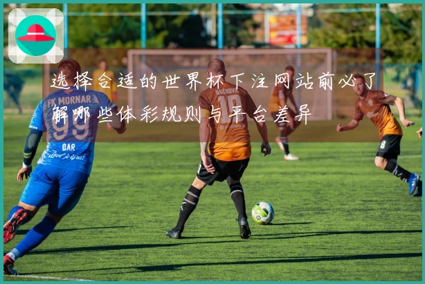 选择合适的世界杯下注网站前必了解哪些体彩规则与平台差异