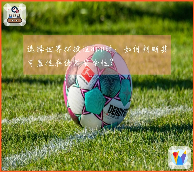选择世界杯投注app时，如何判断其可靠性和使用安全性？