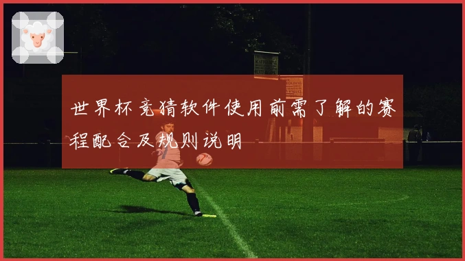 世界杯竞猜软件使用前需了解的赛程配合及规则说明