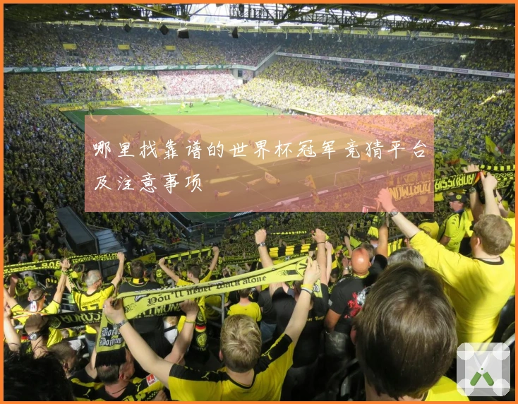 哪里找靠谱的世界杯冠军竞猜平台及注意事项