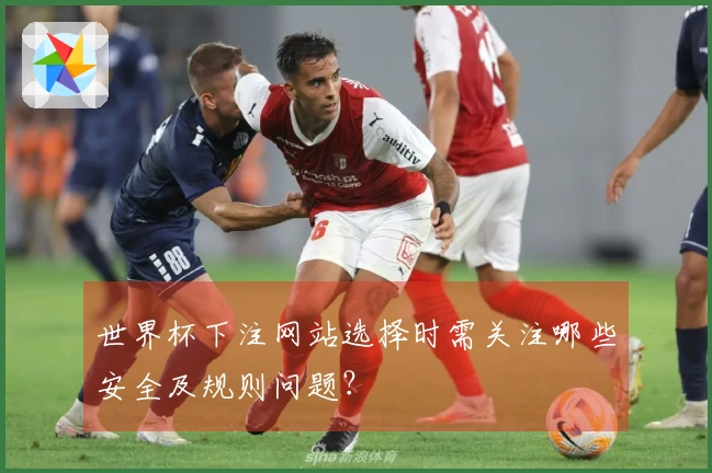世界杯下注网站选择时需关注哪些安全及规则问题？