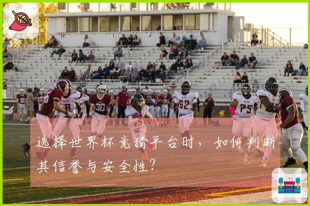 选择世界杯竞猜平台时，如何判断其信誉与安全性？