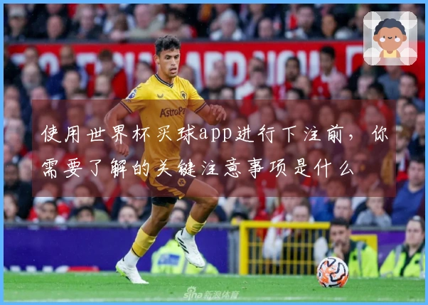 使用世界杯买球app进行下注前，你需要了解的关键注意事项是什么