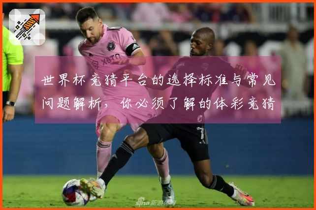 世界杯竞猜平台的选择标准与常见问题解析，你必须了解的体彩竞猜流程