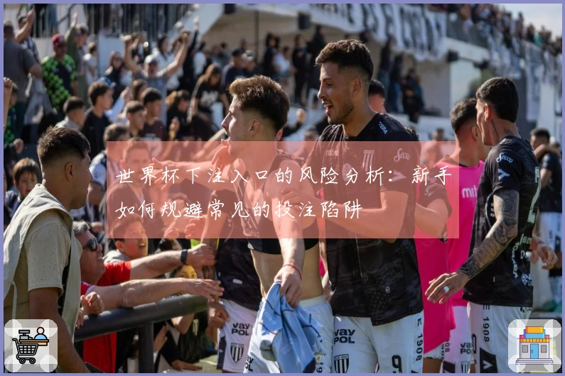 世界杯下注入口的风险分析：新手如何规避常见的投注陷阱