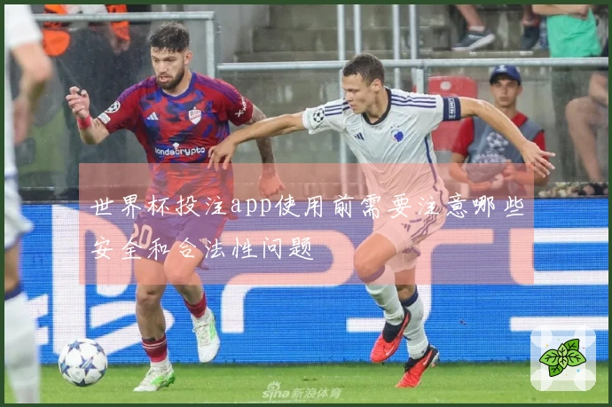 世界杯投注app使用前需要注意哪些安全和合法性问题