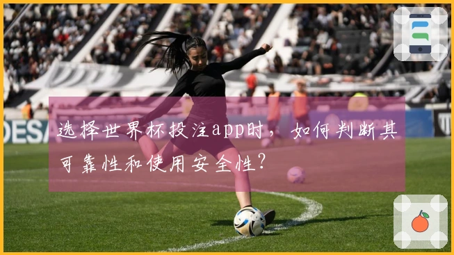 选择世界杯投注app时，如何判断其可靠性和使用安全性？