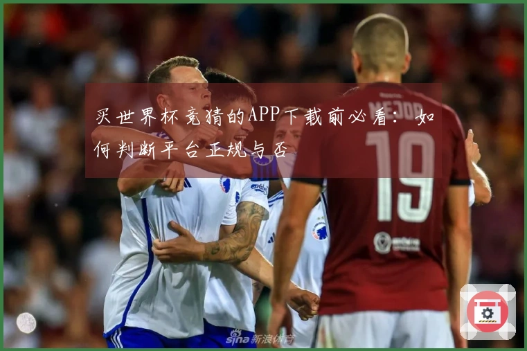 买世界杯竞猜的APP下载前必看：如何判断平台正规与否