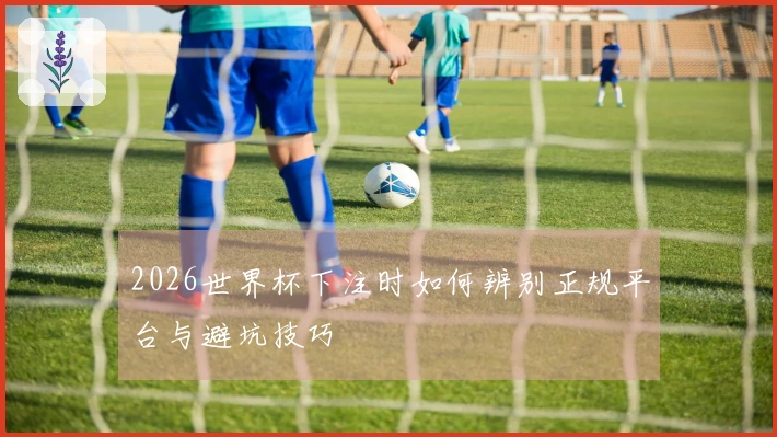 2026世界杯下注时如何辨别正规平台与避坑技巧