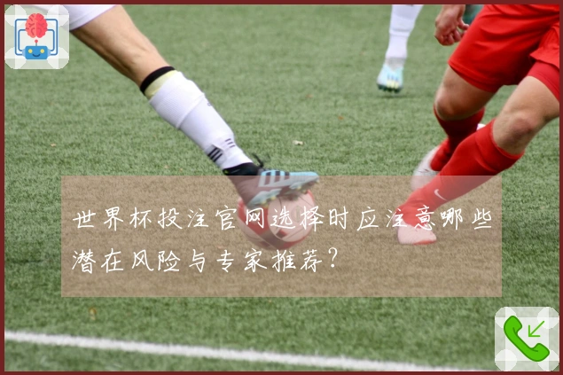 世界杯投注官网选择时应注意哪些潜在风险与专家推荐？