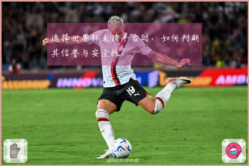 选择世界杯竞猜平台时,如何判断其信誉与安全性?