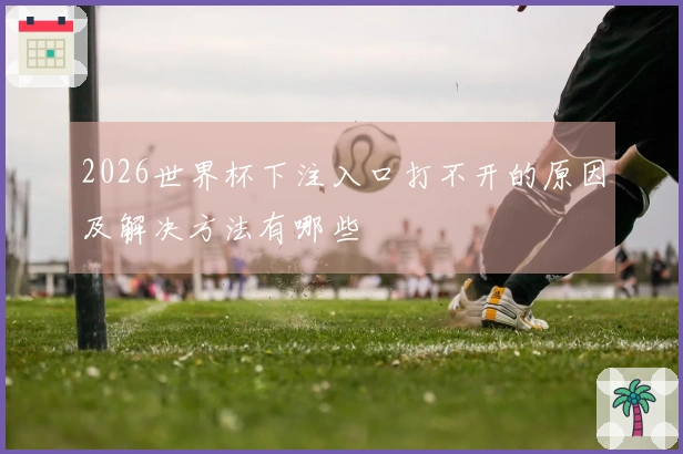 2026世界杯下注入口打不开的原因及解决方法有哪些