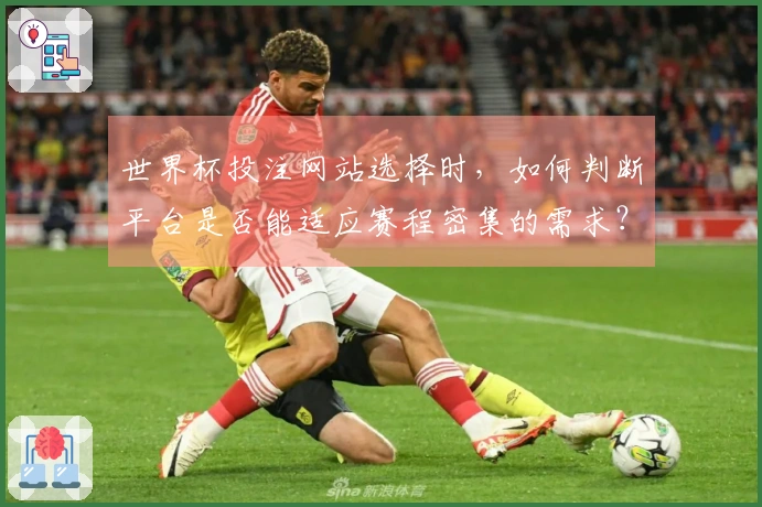 世界杯投注网站选择时，如何判断平台是否能适应赛程密集的需求？