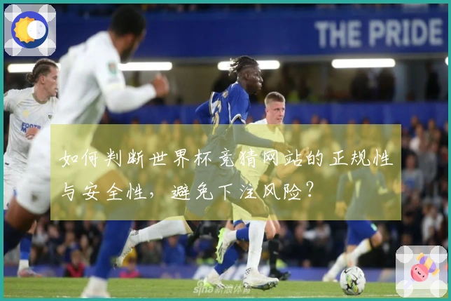 如何判断世界杯竞猜网站的正规性与安全性，避免下注风险？