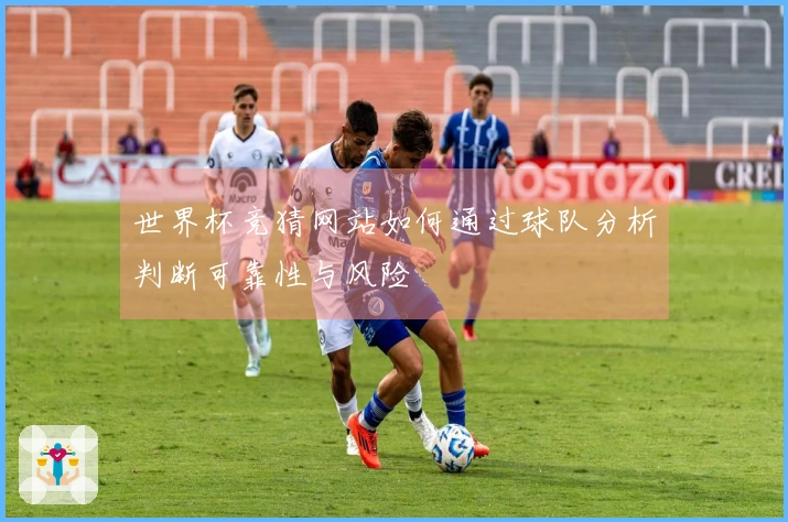 世界杯竞猜网站如何通过球队分析判断可靠性与风险