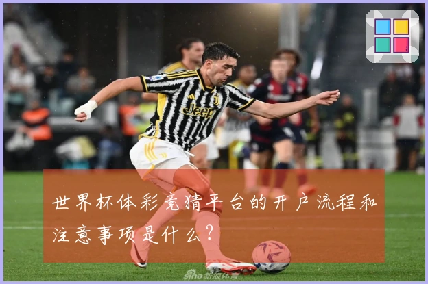 世界杯体彩竞猜平台的开户流程和注意事项是什么？