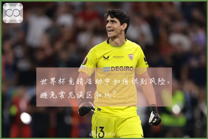 世界杯竞猜活动中如何识别风险，避免常见误区和坑？