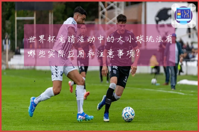 世界杯竞猜活动中的大小球玩法有哪些实际应用和注意事项？