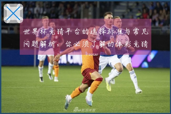 世界杯竞猜平台的选择标准与常见问题解析，你必须了解的体彩竞猜流程