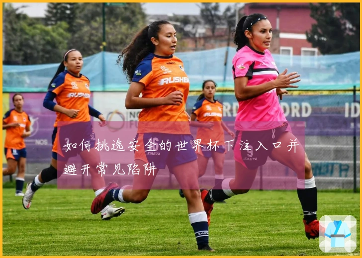 如何挑选安全的世界杯下注入口并避开常见陷阱