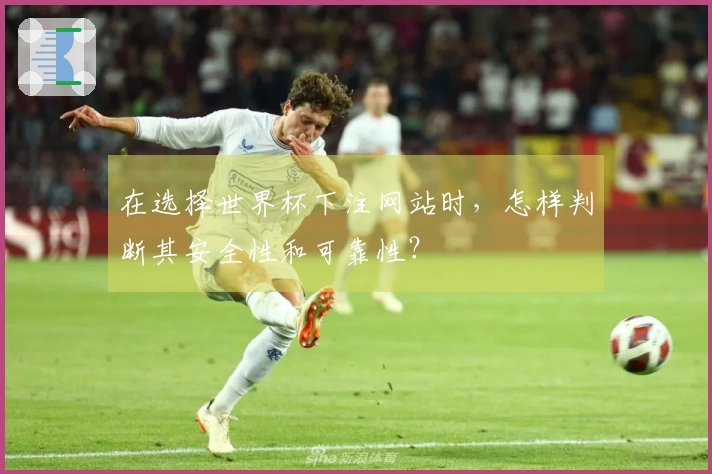 在选择世界杯下注网站时，怎样判断其安全性和可靠性？